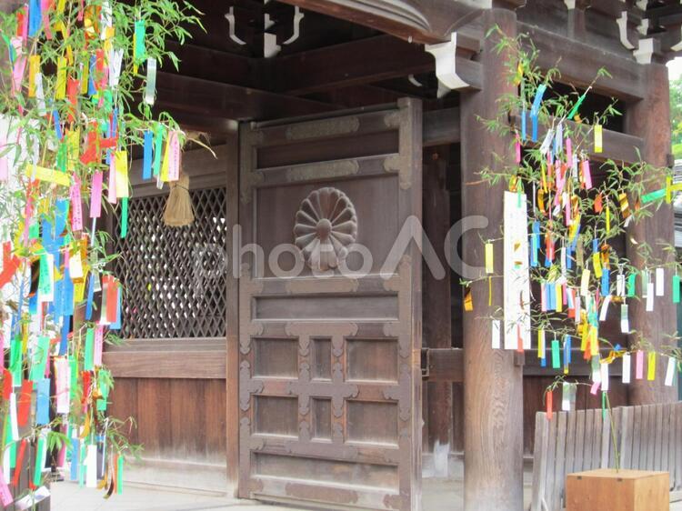 天神さんの七夕　その十五 天神さん,北野天神,北野天満宮の写真素材