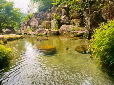 イワナとニジマスの池 イワナとニジマスの池の写真