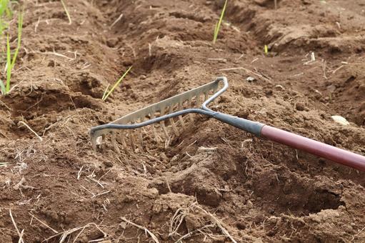 レーキ(アップ) レーキ,熊手,道具の写真素材