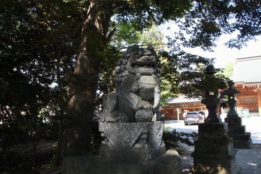 木と狛犬@和樂備神社 木と狛犬@和樂備神社の写真