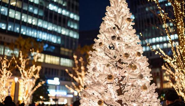 クリスマスツリーホワイトイルミネーション クリスマスツリーホワイトイルミネーションの写真