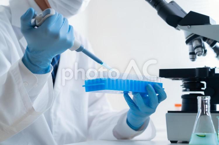 研究所で実験をする研究者 研究,科学,実験の写真素材