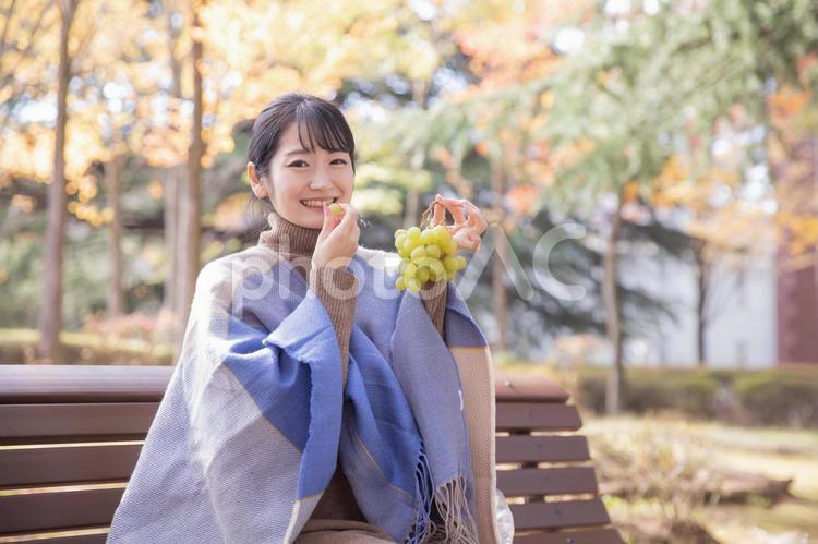 秋の公園でブドウを持つ女性（笑顔） ブドウ,シャインマスカット,マスカットの写真素材