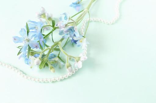 青い花の背景 青い花の背景 青,花,生花の写真素材