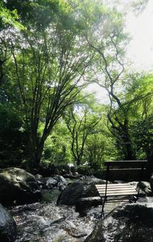 渓流 渓流の写真