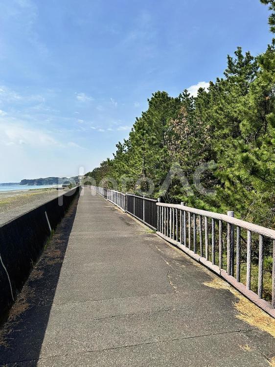 新宮市　王子ヶ浜　海　堤防 屋外,新宮市,王子ヶ浜の写真素材