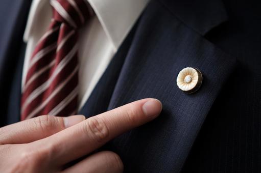 Up of lawyers pointing at lawyer badges, ein anwalt, anwaltsabzeichen, teilnahmeberechtigung, JPG