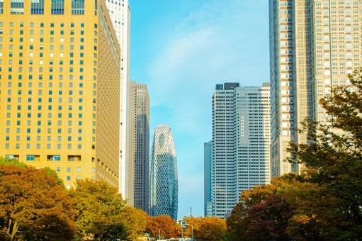 新宿の都市風景 新宿,秋,高層ビルの写真素材
