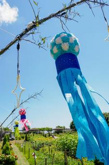 七夕飾り⑴ 七夕飾り⑴の写真