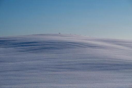 風と光が織りなす雪原の青い波紋の質感 雪原,丘陵,雪の写真素材
