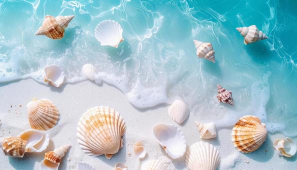 美しい海辺の砂浜の波に流される巻貝 美しい海辺の砂浜の波に流される巻貝の写真
