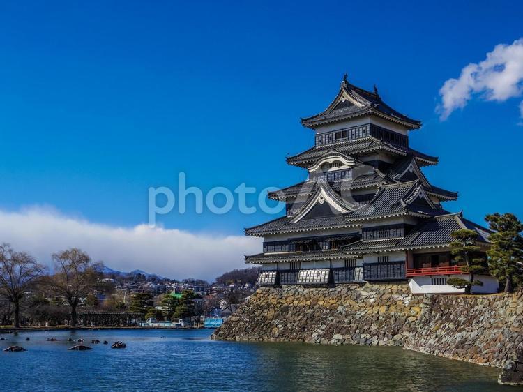 【長野県】国宝・松本城 松本城,長野県,天守閣の写真素材