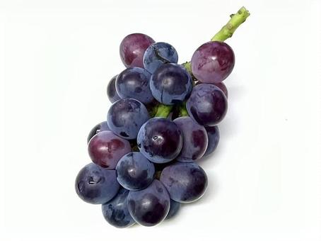 Photo, fruit, fruits, grape, 