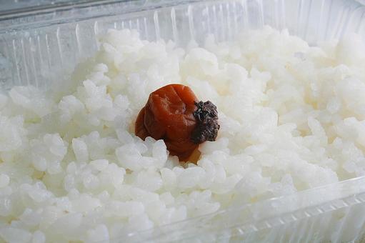 食卓の赤と白-02の写真