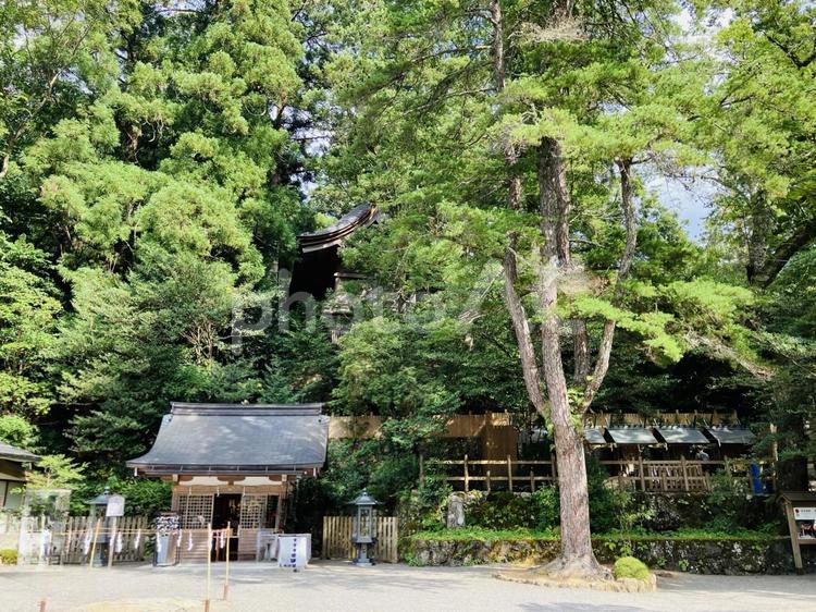 天河神社　境内　斎灯殿 天河神社,天河大辨財天社,天河大弁財天社の写真素材