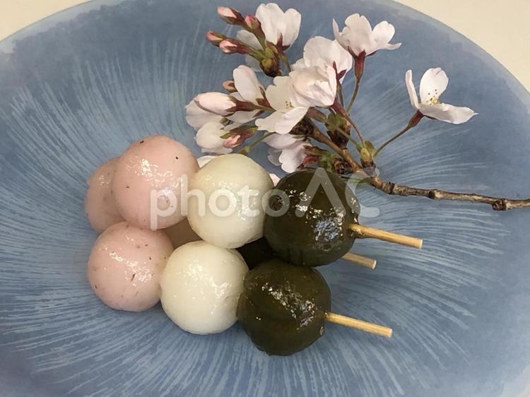 春を味わう、桜とお花見団子 三色団子,花見,桜の写真素材