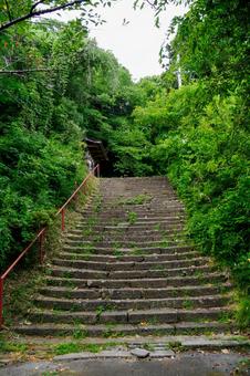 亀岡八幡宮⑵ 亀岡八幡宮⑵の写真