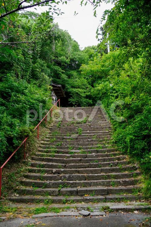 亀岡八幡宮⑵ 神社,亀岡八幡宮,神社仏閣の写真素材