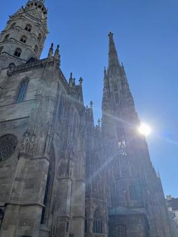 シュテファン大聖堂　ウィーン 大聖堂,教会,青空の写真素材