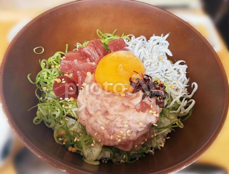 しらす丼 しらす丼,海鮮丼,海鮮の写真素材