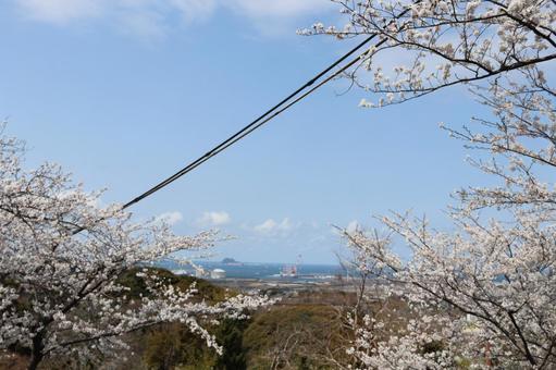 高塔山公園 高塔山公園 若松区大字修多羅,北九州,北九州市の写真素材