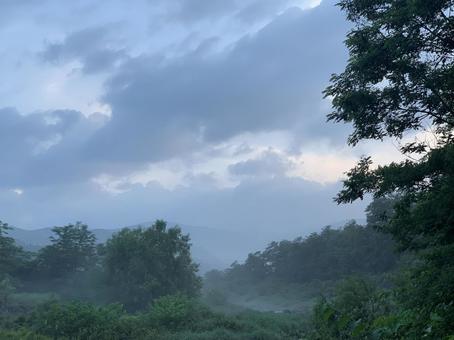 Photo, mountain, woods, fog, 