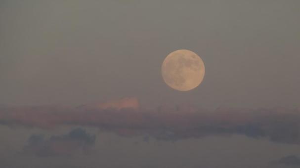 Moon Awakening, JPG Moon Awakening, JPG
