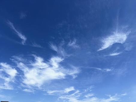青空に広がる白い雲 青空に広がる白い雲の写真