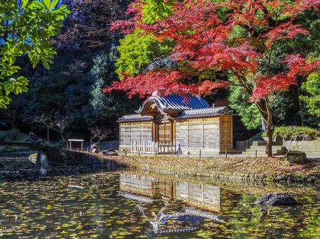 【東京都】文京区・小石川後楽園 【東京都】文京区・小石川後楽園 小石川後楽園,紅葉,水道橋の写真素材