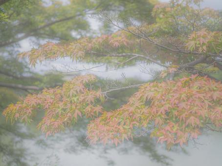 背景素材(風景) 背景素材(風景)の写真