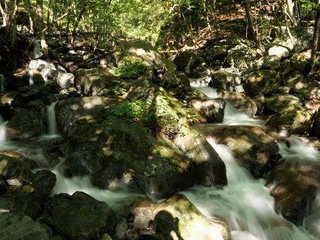 大門沢登山道 沢 大門沢登山道 沢 白根三山,北岳,間ノ岳の写真素材