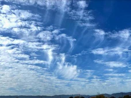 筋雲1 231126の写真