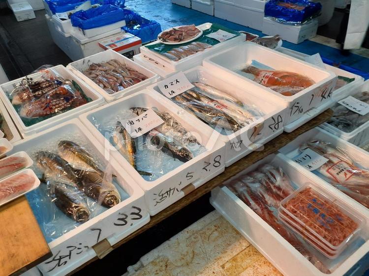 鮮魚　市場にて 魚,鮮魚,市場の写真素材