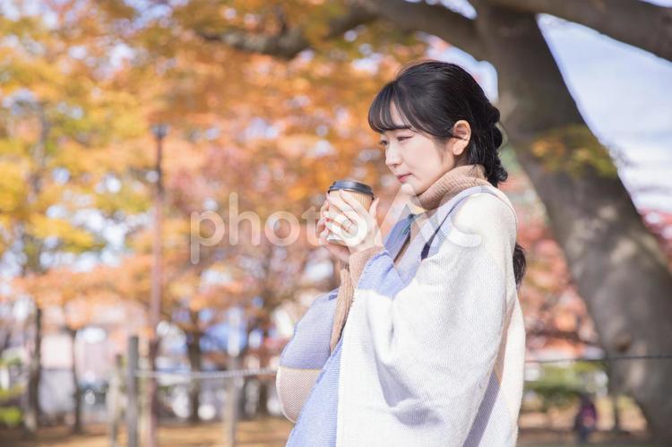 秋の公園でコーヒーを飲む女性（寒い） 寒い,コーヒー,秋の写真素材