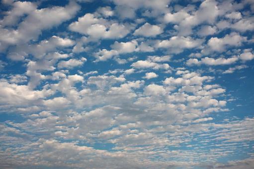 秋の雲 秋の雲の写真
