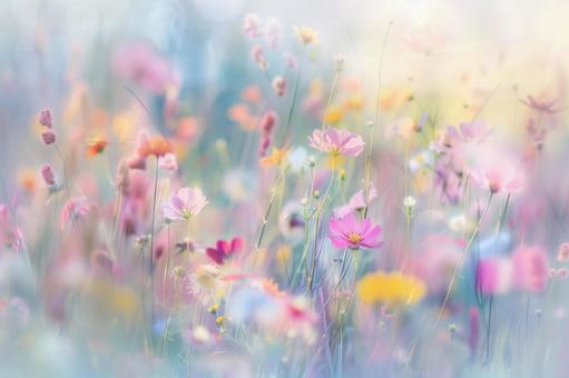 幻想的な春の花畑 幻想的な春の花畑の写真