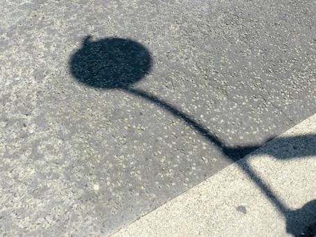 晴れの日、車道に映る街灯の影 道,道路,車道の写真素材