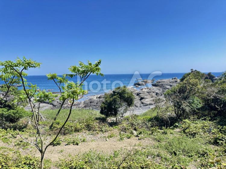 荒船海岸　海岸沿い 串本町の東端,熊野灘沿い,吉野熊野国立公園の写真素材