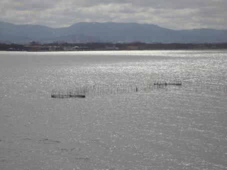 水面に浮かぶ伝統の技｜琵琶湖のエリ漁 琵琶湖,滋賀,関西の写真素材