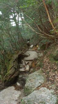 Hiking trails, JPG Hiking trails, JPG