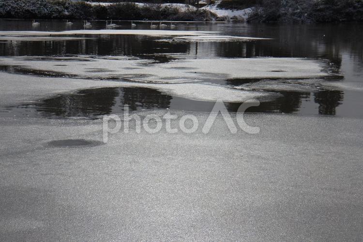 氷面　その２ 氷,沼,反射の写真素材