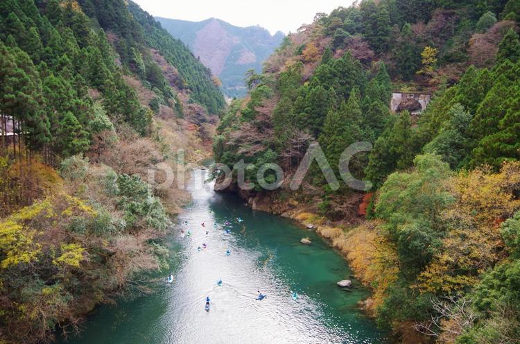 東京都　奥多摩町　紅葉シーズンの数馬峡とカヌー 数馬峡,数馬峡国,カヌーの写真素材