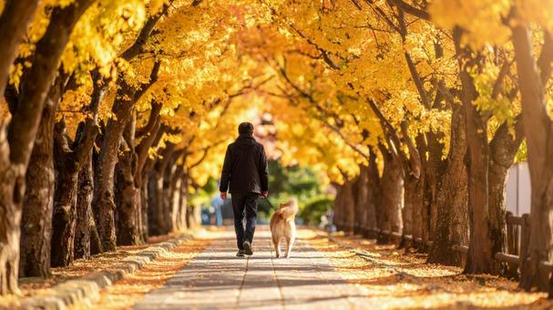 犬の散歩 男性5 犬の散歩 男性5の写真
