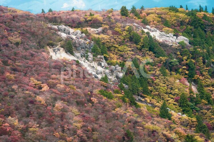 三重県-御在所岳【紅葉】 紅葉,もみじ,山並みの写真素材