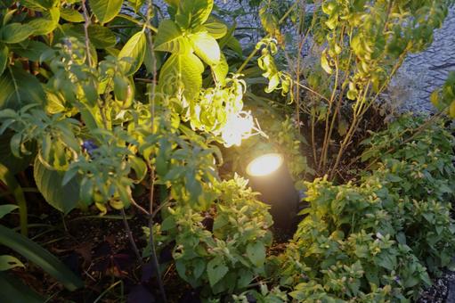 Photo, garden light, solar light, court, 