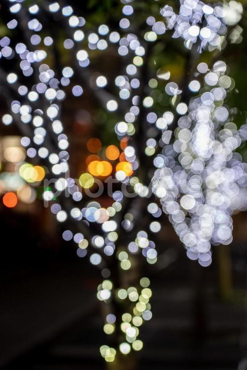 玉ボケのイルミネーション　電飾　 キラキラ,クリスマスイルミネーション,ミステリーの写真素材