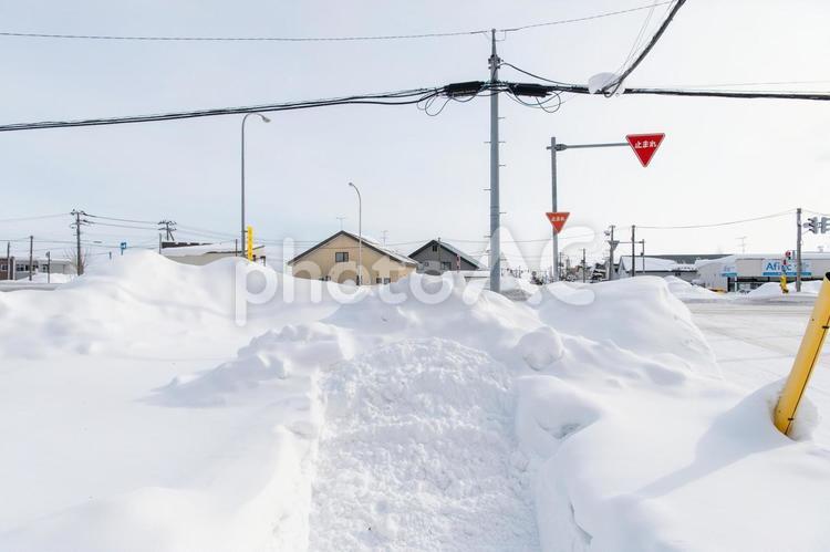 北海道　旭川　忠和　雪景色 日本,北海道,旭川の写真素材