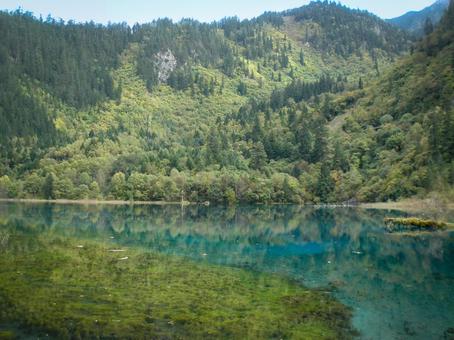 九寨湖のエメラルドグリーンに輝く湖面 九寨湖のエメラルドグリーンに輝く湖面 九寨湖,湖,山の写真素材