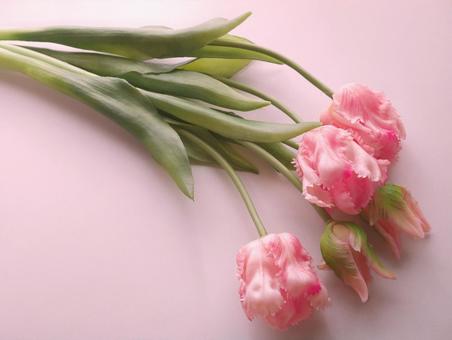 造花＊チューリップ② ピンク,チューリップ,花の写真素材
