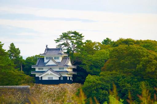 [愛知県]豊橋市今橋町の吉田城鉄櫓 吉田城鉄櫓,吉田城,秋の写真素材